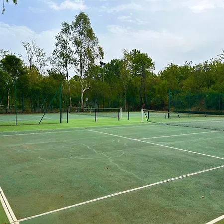 Les Restanques 3 Etoiles 4 A 5 Pers 2143 Grimaud