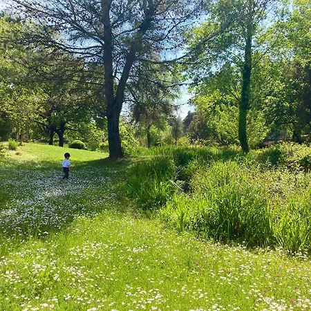 Les Restanques 3 étoiles 4 à 5 Pers 2143 Appartamento Grimaud