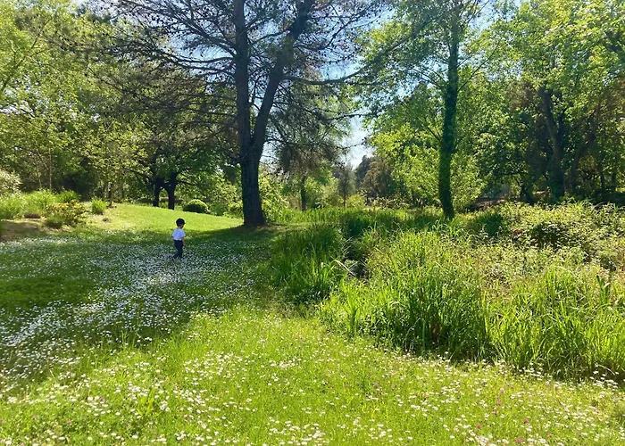 Les Restanques 3 Etoiles 4 A 5 Pers 2143 Apartament Grimaud